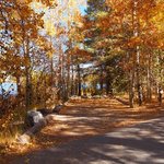 Gull lake campground