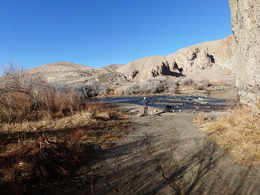 Wilson Canyon Reviews Updated 2020