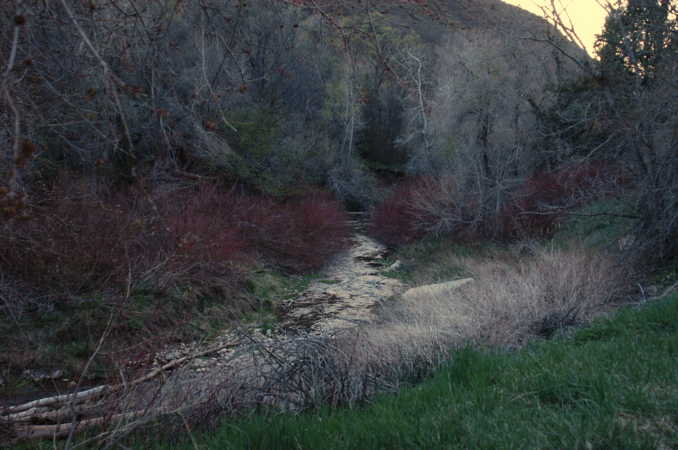 Adelaide Campground Reviews updated 2024