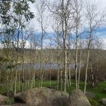 Bowery creek