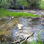 Clear creek utah