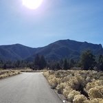 Equestrian utah