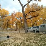 Green river state park