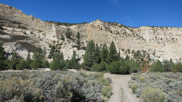 Henrieville Creek Dispersed Camping photo 2