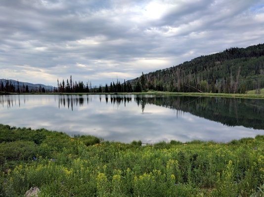 Lake Canyon Recreation Area Campground photo 2