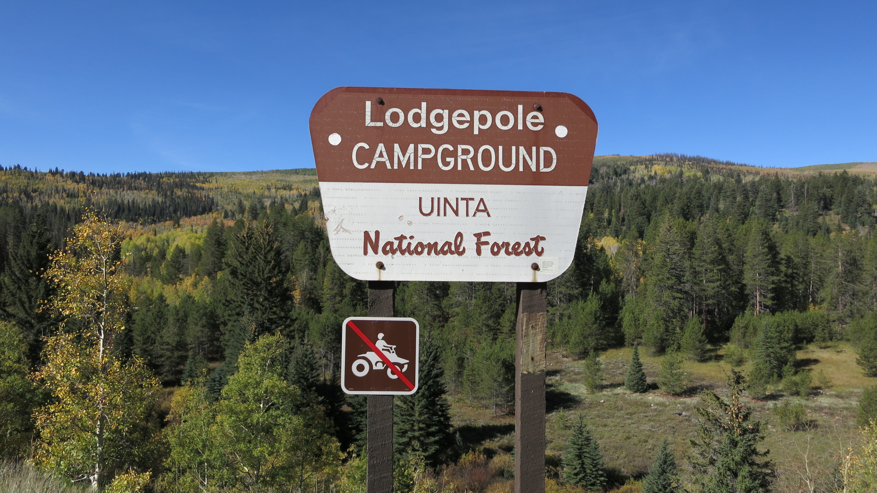 Lodgepole Campground Reviews updated 2024