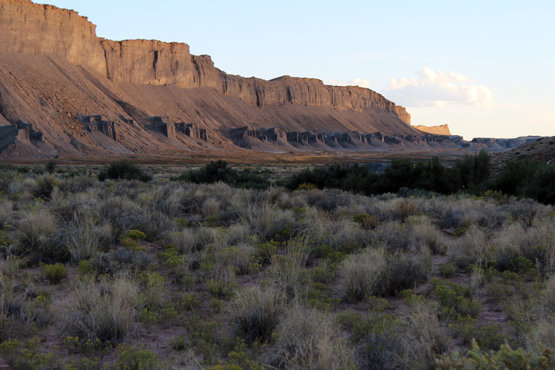 Caineville Reef Dispersed Camping