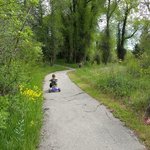 Perception park