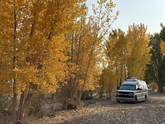 Piute Dispersed Camping photo 2