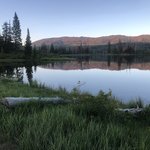 Potters pond