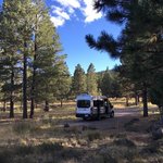 Singletree campground