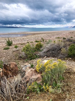 South Eden Campground Reviews Updated 2020