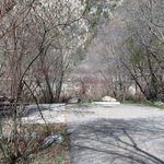 Spring hollow