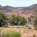 Steep creek bench