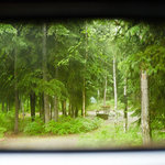 Chena river state rec site