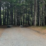 Chilkat state park