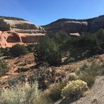 Windwhistle campground