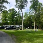 Lazy lions campground
