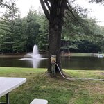 Pine hollow campground