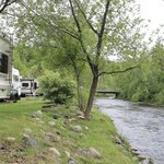 Moose river campground