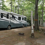 Timberland camping