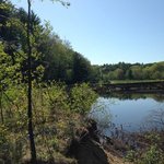 Ashuelot river campground