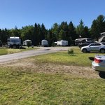 Timberland acres rv park