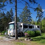 Gray homestead camping