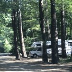Pine campgrounds