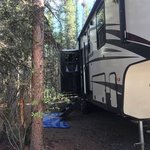 Riley creek campground