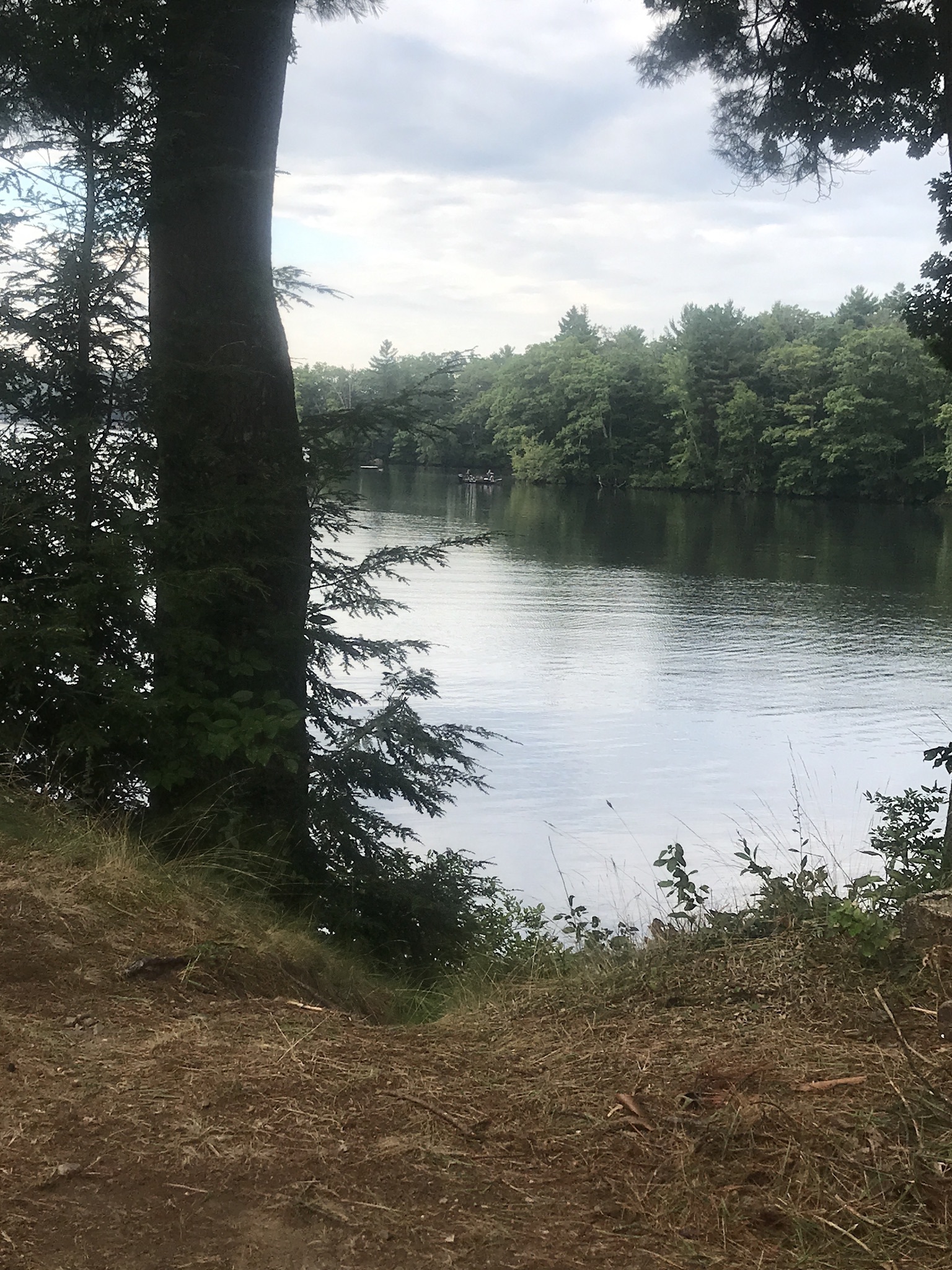 Old Holbrook Place Campground Reviews updated 2024