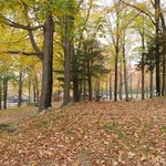 Odetah campground