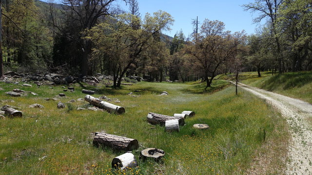 Alder Creek Campground photo 2