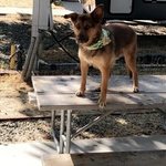 Auburn gold country rv park