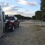 Orange grove rv park