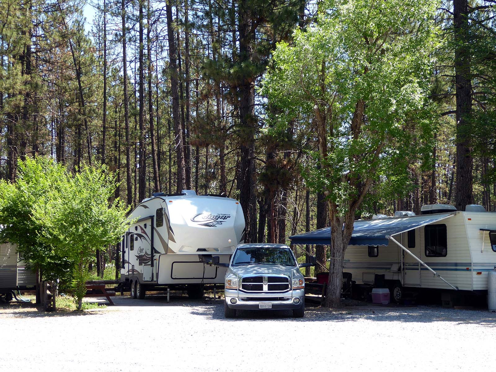 Burney Falls Resort Reviews updated 2024