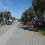 Corning rv park