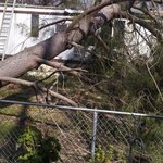 Woodson bridge rv park