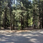 Railroad park resort