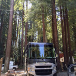 Santa cruz redwoods rv resort