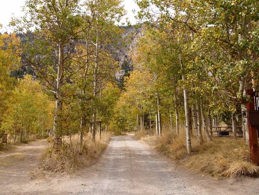 Lee Vining Rv Parks Reviews And Photos Rvparking Com