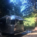 Gualala river redwood park