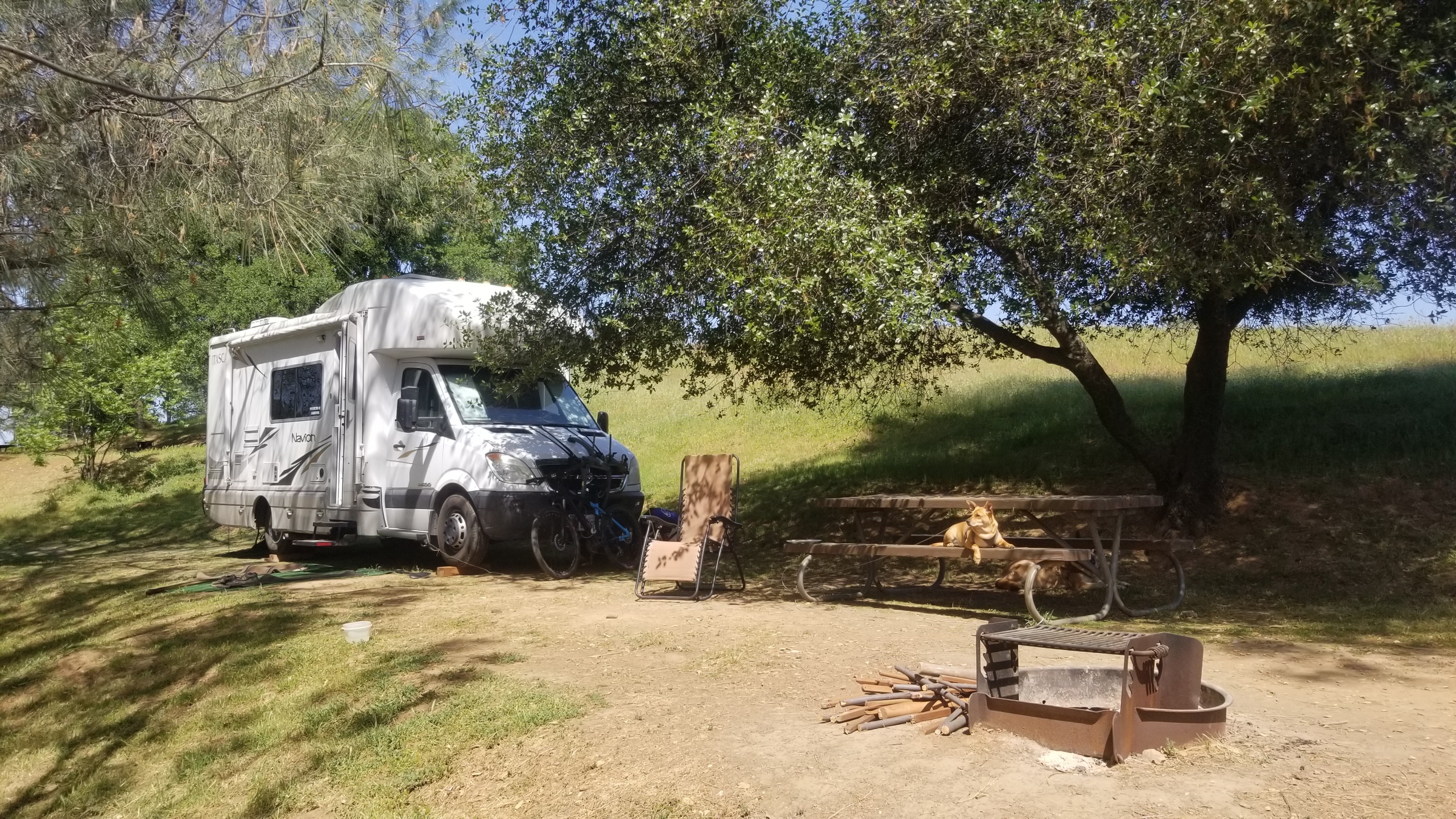 Pardee Reservoir Recreation Area Reviews updated 2024