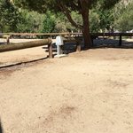 Frandy park