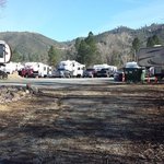 Ponderosa resort