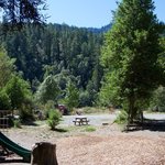 Giant redwoods rv and camp