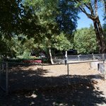 Giant redwoods rv and camp