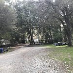 Genes pineaire campground
