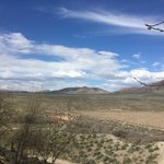 Walker river resort