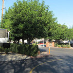 Walnut rv park